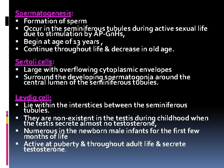 Spermatogenesis: Formation of sperm Occur in the seminiferous tubules during active sexual life due