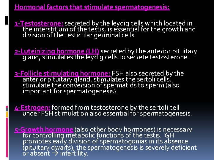 Hormonal factors that stimulate spermatogenesis: 1 -Testosterone: secreted by the leydig cells which located