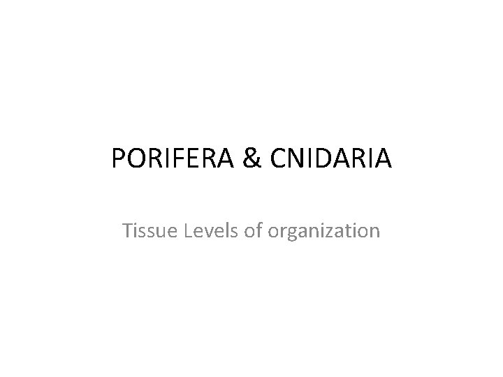 PORIFERA & CNIDARIA Tissue Levels of organization 