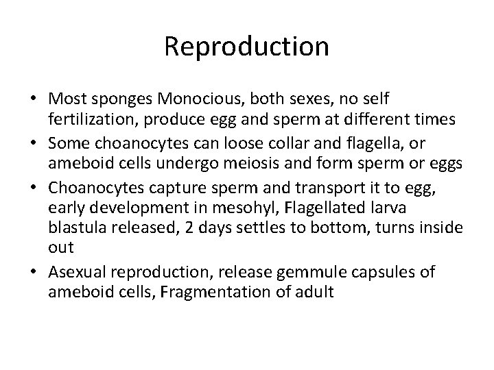 Reproduction • Most sponges Monocious, both sexes, no self fertilization, produce egg and sperm