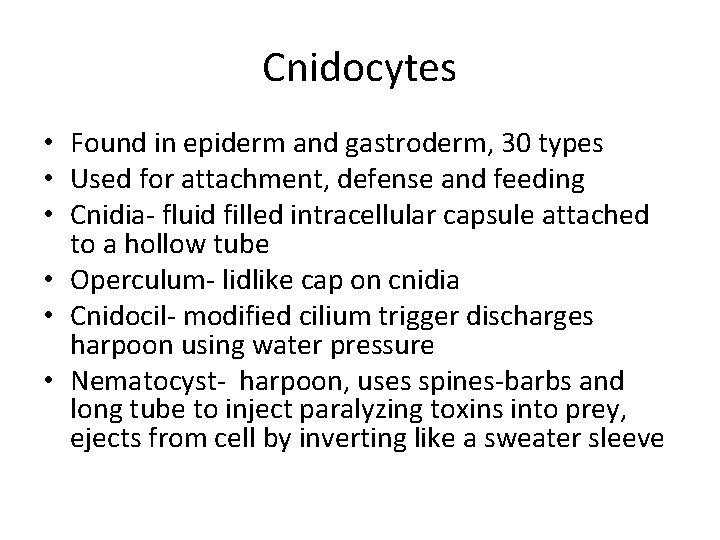 Cnidocytes • Found in epiderm and gastroderm, 30 types • Used for attachment, defense