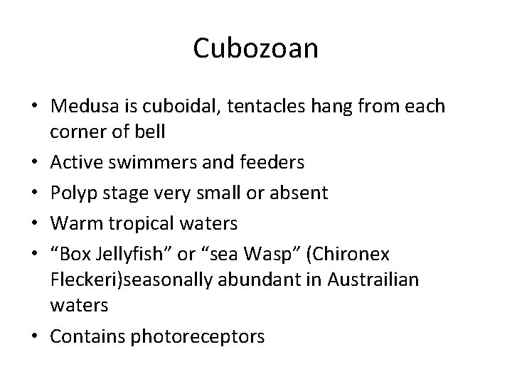 Cubozoan • Medusa is cuboidal, tentacles hang from each corner of bell • Active