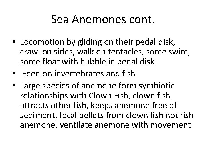 Sea Anemones cont. • Locomotion by gliding on their pedal disk, crawl on sides,