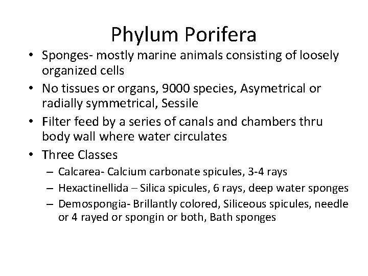 Phylum Porifera • Sponges- mostly marine animals consisting of loosely organized cells • No