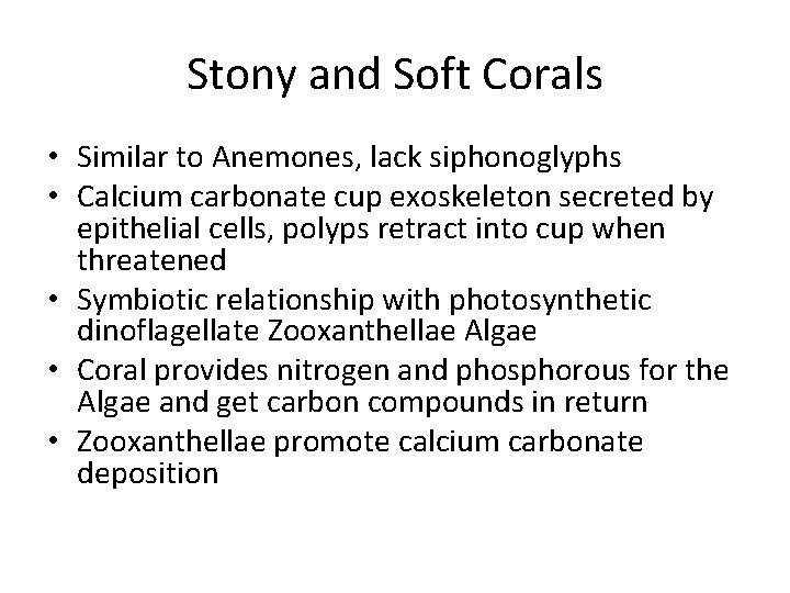 Stony and Soft Corals • Similar to Anemones, lack siphonoglyphs • Calcium carbonate cup