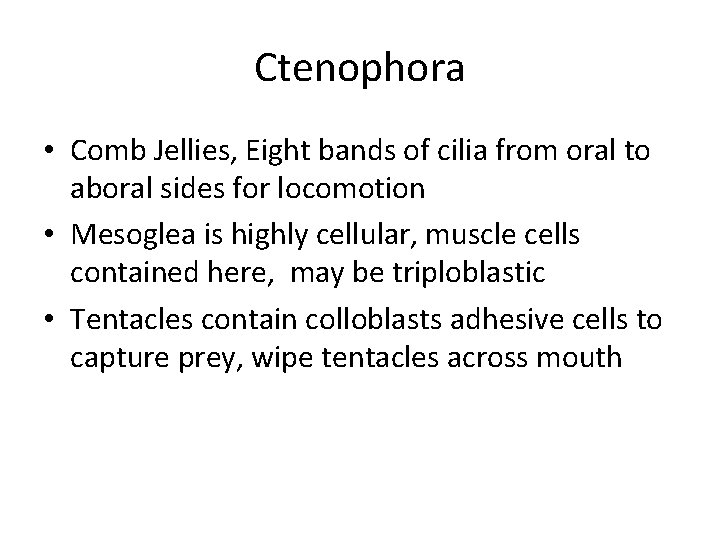 Ctenophora • Comb Jellies, Eight bands of cilia from oral to aboral sides for