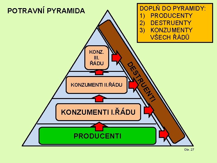 DOPLŇ DO PYRAMIDY: 1) PRODUCENTY 2) DESTRUENTY 3) KONZUMENTY VŠECH ŘÁDŮ POTRAVNÍ PYRAMIDA KONZUMENTI