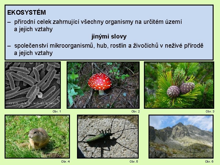 EKOSYSTÉM – přírodní celek zahrnující všechny organismy na určitém území a jejich vztahy jinými