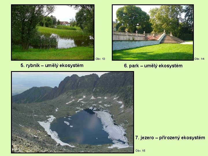 Obr. 13 5. rybník – umělý ekosystém Obr. 14 6. park – umělý ekosystém