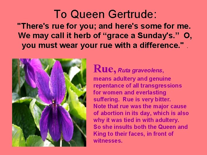 To Queen Gertrude: "There's rue for you; and here's some for me. We may