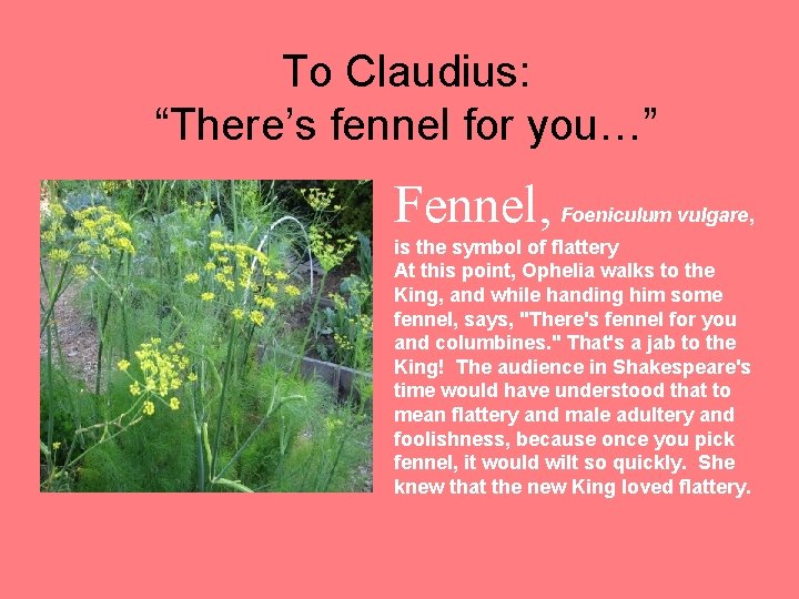 To Claudius: “There’s fennel for you…” Fennel, Foeniculum vulgare, is the symbol of flattery