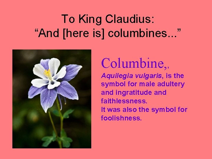 To King Claudius: “And [here is] columbines. . . ” Columbine, , Aquilegia vulgaris,