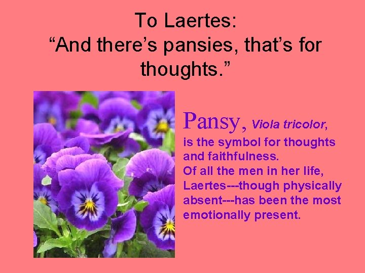To Laertes: “And there’s pansies, that’s for thoughts. ” Pansy, Viola tricolor, is the