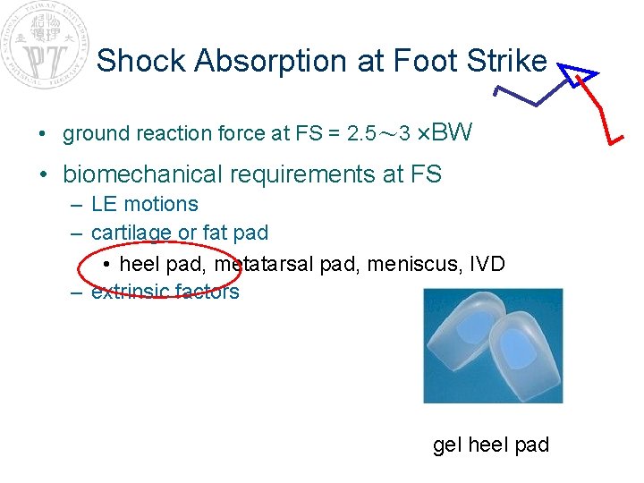 Shock Absorption at Foot Strike • ground reaction force at FS = 2. 5～