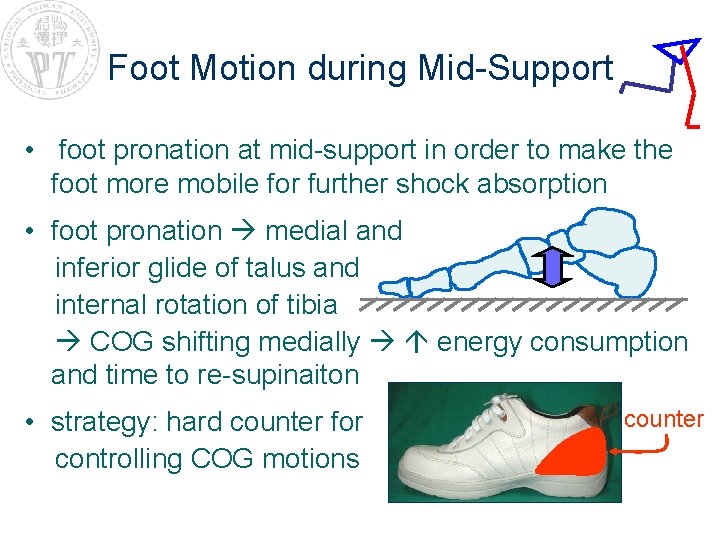 Foot Motion during Mid-Support • foot pronation at mid-support in order to make the