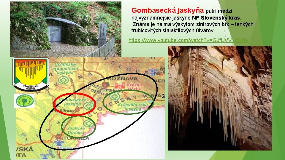 Gombasecká jaskyňa patrí medzi najvýznamnejšie jaskyne NP Slovenský kras. Známa je najmä výskytom sintrových