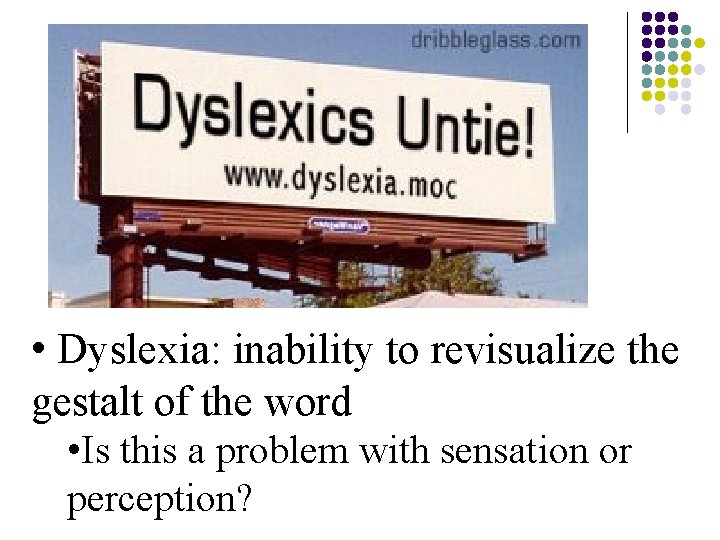 • Dyslexia: inability to revisualize the gestalt of the word • Is this • Dyslexia: inability to revisualize the gestalt of the word • Is this