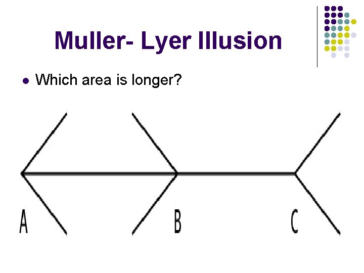 Muller- Lyer Illusion l Which area is longer? Muller- Lyer Illusion l Which area is longer?