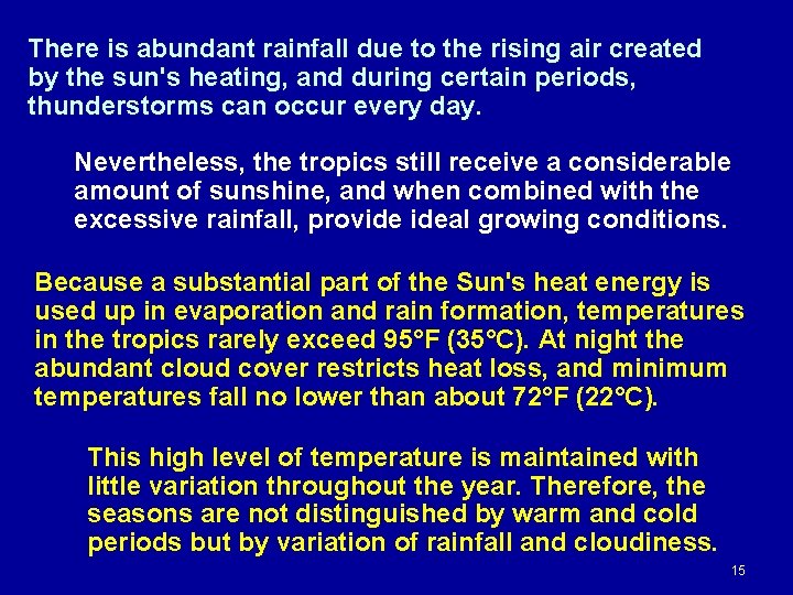 There is abundant rainfall due to the rising air created by the sun's heating,