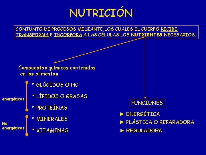 NUTRICIÓN CONJUNTO DE PROCESOS MEDIANTE LOS CUALES EL CUERPO RECIBE, TRANSFORMA E INCORPORA A NUTRICIÓN CONJUNTO DE PROCESOS MEDIANTE LOS CUALES EL CUERPO RECIBE, TRANSFORMA E INCORPORA A