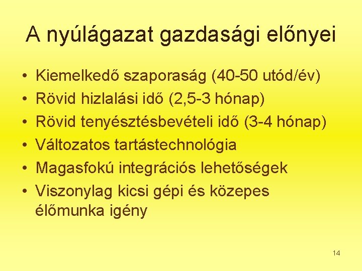 A nyúlágazat gazdasági előnyei • • • Kiemelkedő szaporaság (40 -50 utód/év) Rövid hizlalási