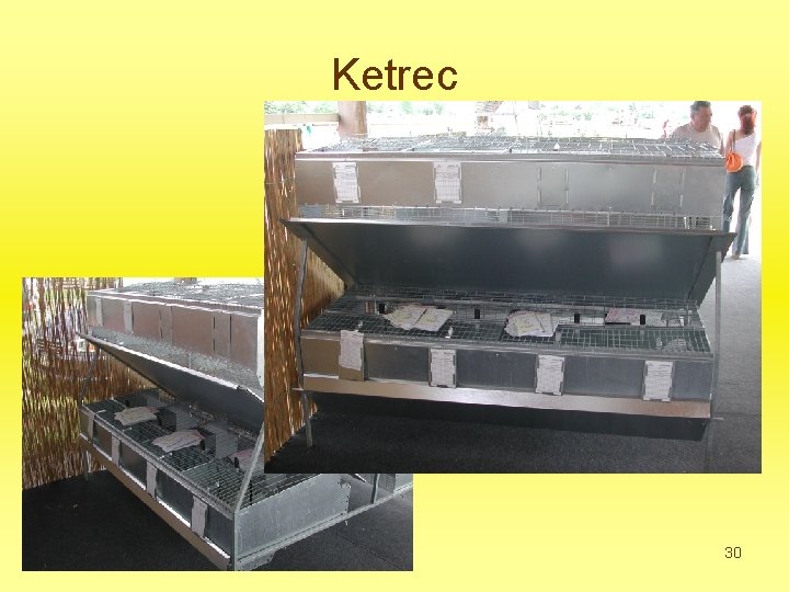 Ketrec 30 