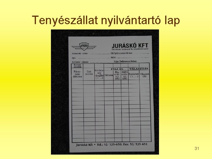 Tenyészállat nyilvántartó lap 31 