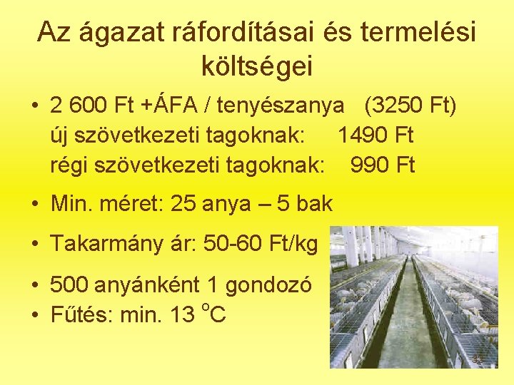 Az ágazat ráfordításai és termelési költségei • 2 600 Ft +ÁFA / tenyészanya (3250