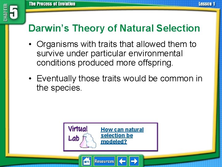 5. 1 Natural Selection Darwin’s Theory of Natural Selection • Organisms with traits that