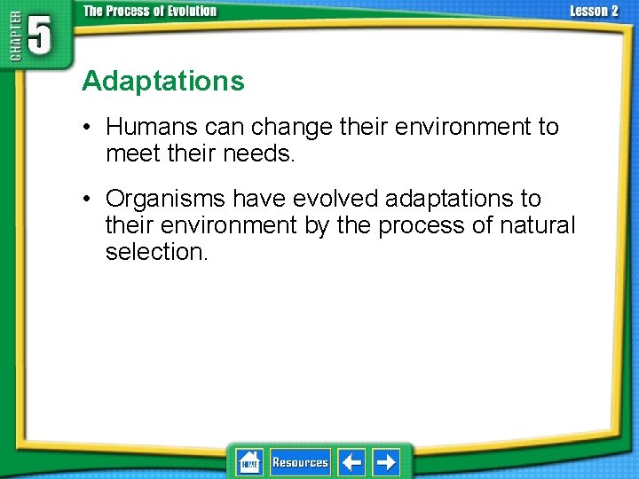 5. 2 Adaptation and Extinction Adaptations • Humans can change their environment to meet