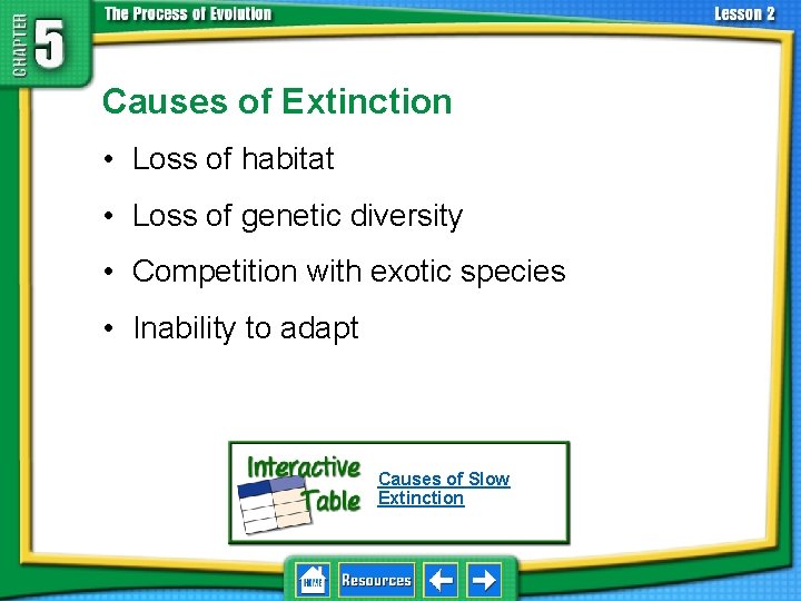 5. 2 Adaptation and Extinction Causes of Extinction • Loss of habitat • Loss