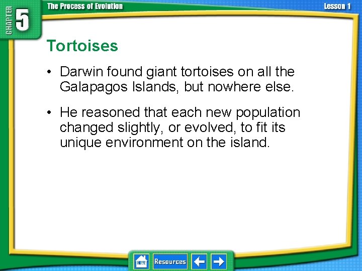 5. 1 Natural Selection Tortoises • Darwin found giant tortoises on all the Galapagos