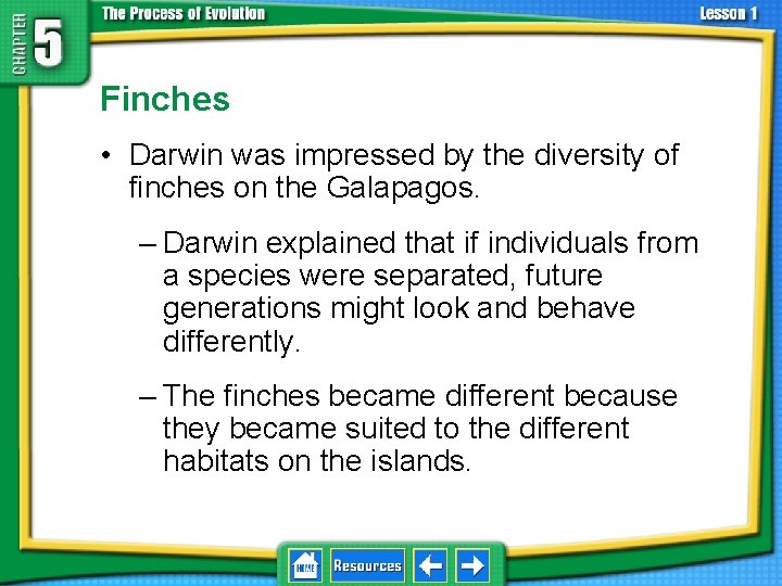 5. 1 Natural Selection Finches • Darwin was impressed by the diversity of finches