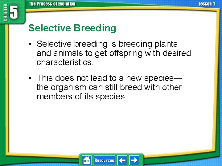 5. 1 Natural Selection Selective Breeding • Selective breeding is breeding plants and animals