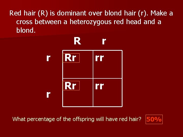 Red hair (R) is dominant over blond hair (r). Make a cross between a