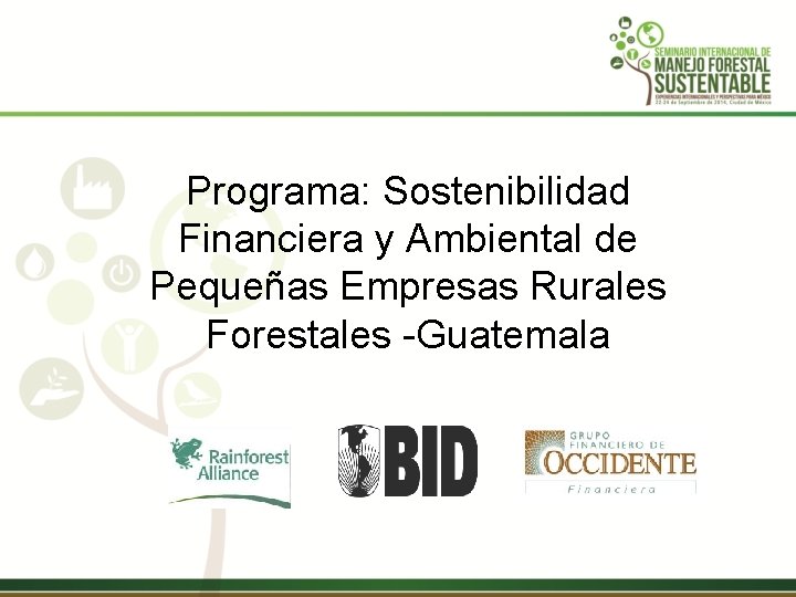 Programa: Sostenibilidad Financiera y Ambiental de Pequeñas Empresas Rurales Forestales -Guatemala 