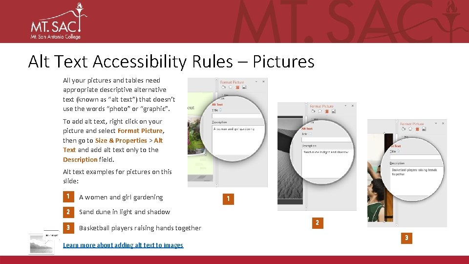 Alt Text Accessibility Rules – Pictures All your pictures and tables need appropriate descriptive