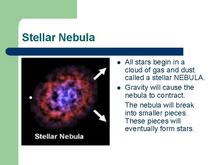 Stellar Nebula l l All stars begin in a cloud of gas and dust