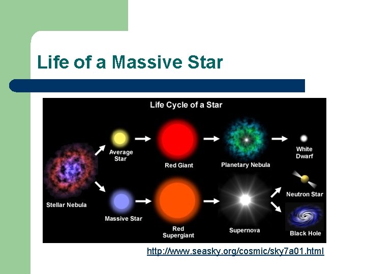 Life of a Massive Star http: //www. seasky. org/cosmic/sky 7 a 01. html 