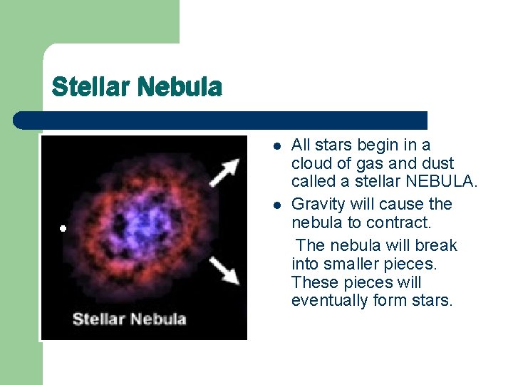 Stellar Nebula l l All stars begin in a cloud of gas and dust