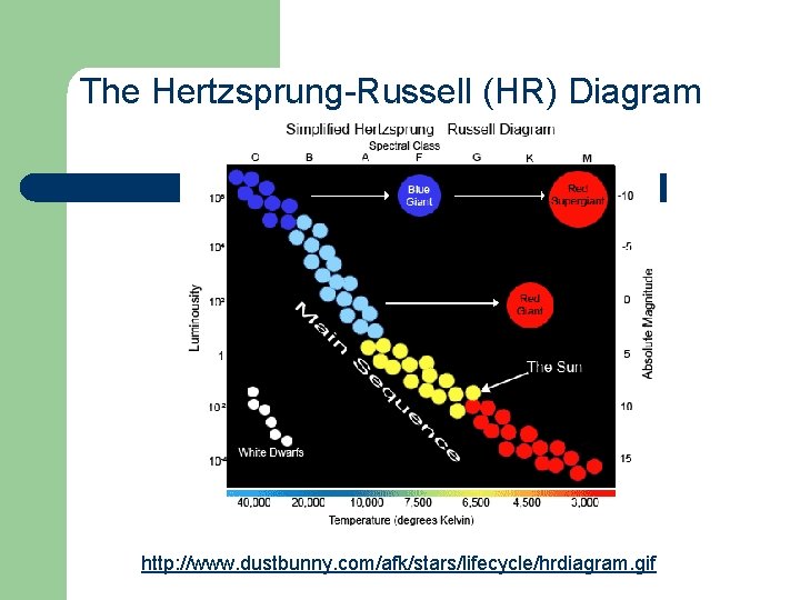 The Hertzsprung-Russell (HR) Diagram http: //www. dustbunny. com/afk/stars/lifecycle/hrdiagram. gif 
