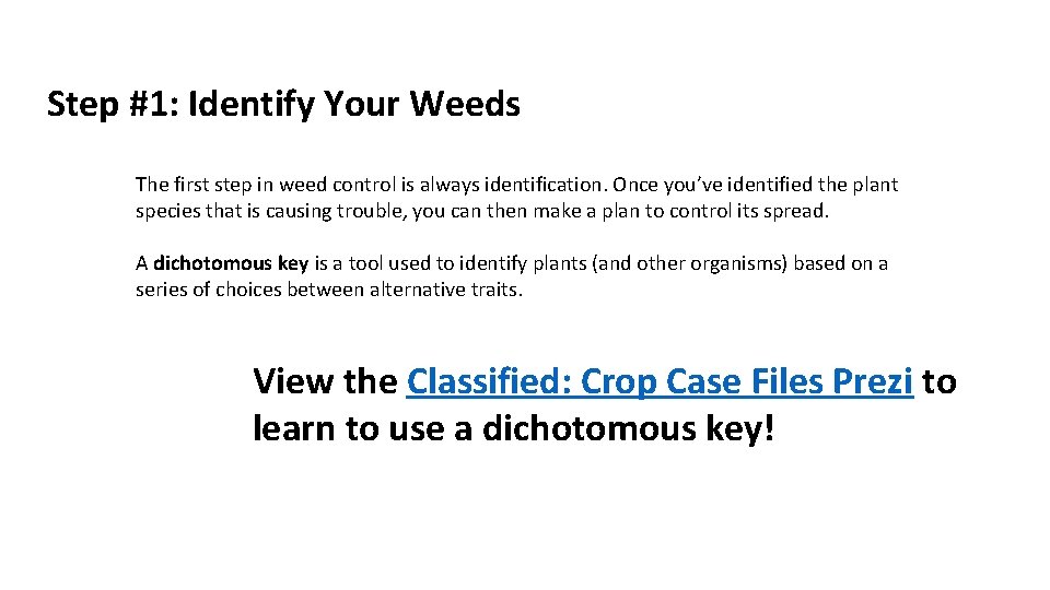 Step #1: Identify Your Weeds The first step in weed control is always identification.