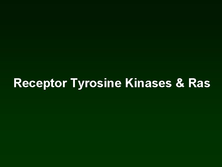 Receptor Tyrosine Kinases & Ras Receptor Tyrosine Kinases & Ras