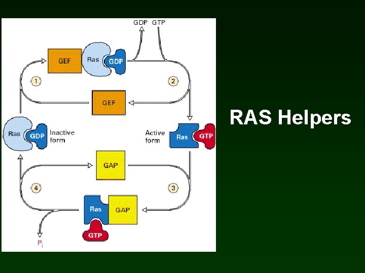 RAS Helpers RAS Helpers