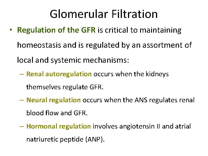 Glomerular Filtration • Regulation of the GFR is critical to maintaining homeostasis and is