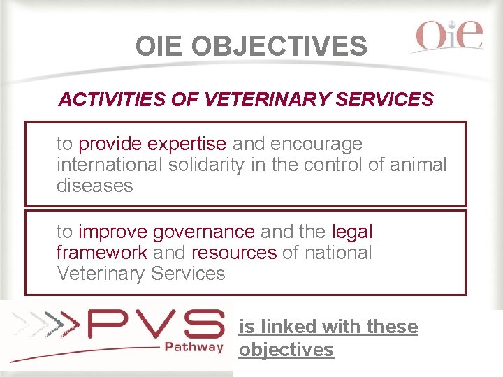 OIE OBJECTIVES ACTIVITIES OF VETERINARY SERVICES to provide expertise and encourage international solidarity in OIE OBJECTIVES ACTIVITIES OF VETERINARY SERVICES to provide expertise and encourage international solidarity in