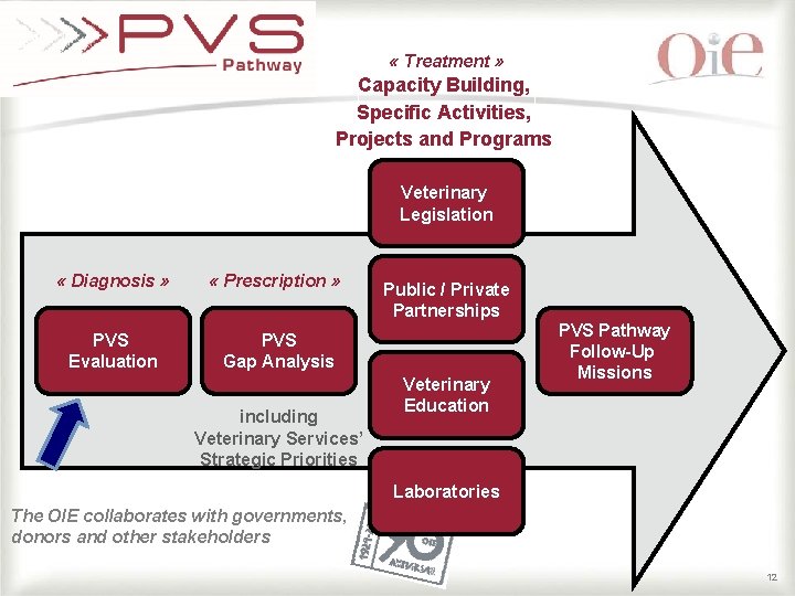 « Treatment » Capacity Building, Specific Activities, Projects and Programs Veterinary Legislation « « Treatment » Capacity Building, Specific Activities, Projects and Programs Veterinary Legislation «