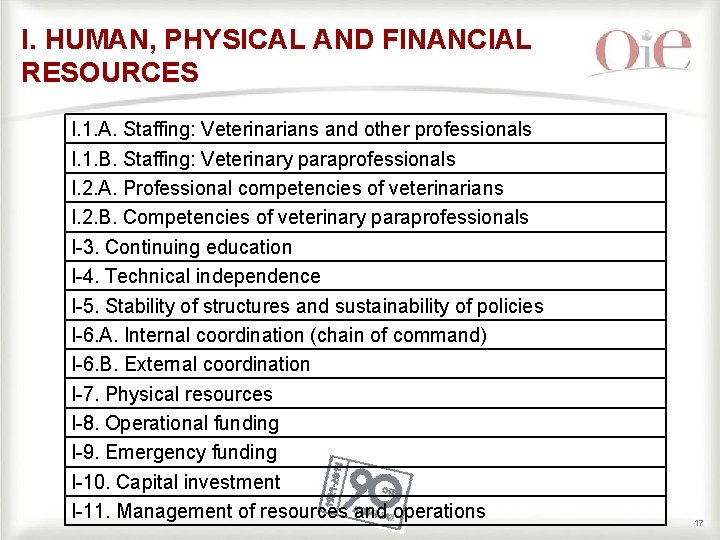 I. HUMAN, PHYSICAL AND FINANCIAL RESOURCES I. 1. A. Staffing: Veterinarians and other professionals I. HUMAN, PHYSICAL AND FINANCIAL RESOURCES I. 1. A. Staffing: Veterinarians and other professionals