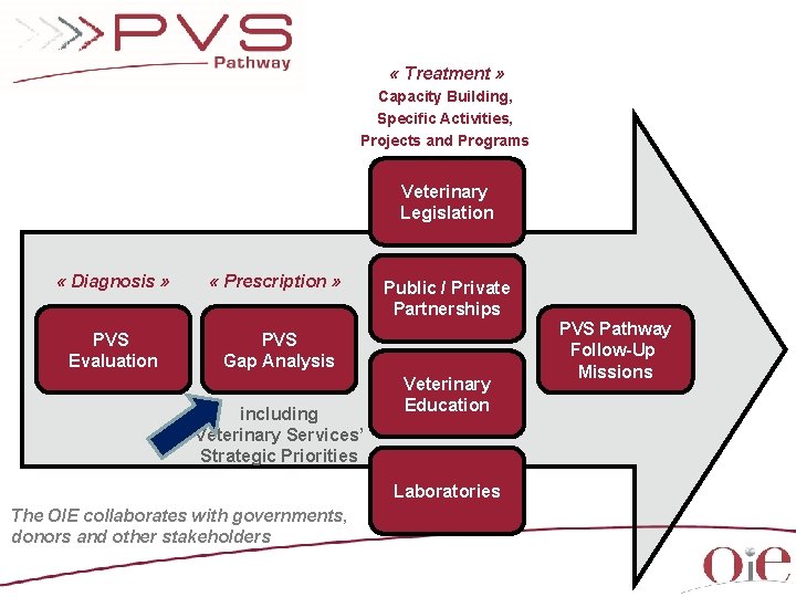 « Treatment » Capacity Building, Specific Activities, Projects and Programs Veterinary Legislation « « Treatment » Capacity Building, Specific Activities, Projects and Programs Veterinary Legislation «
