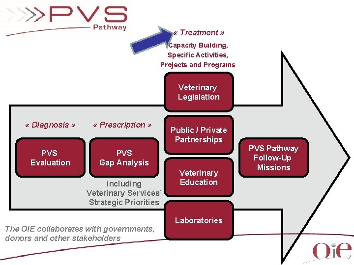 « Treatment » Capacity Building, Specific Activities, Projects and Programs Veterinary Legislation « « Treatment » Capacity Building, Specific Activities, Projects and Programs Veterinary Legislation «